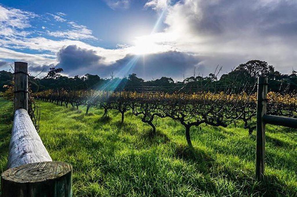 Island Brook Estate Winery And Chalets Margaret River Екстериор снимка