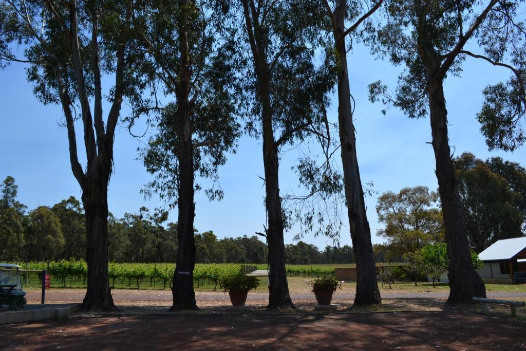 Island Brook Estate Winery And Chalets Margaret River Екстериор снимка